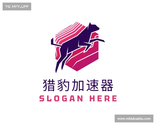 介绍猎豹加速器